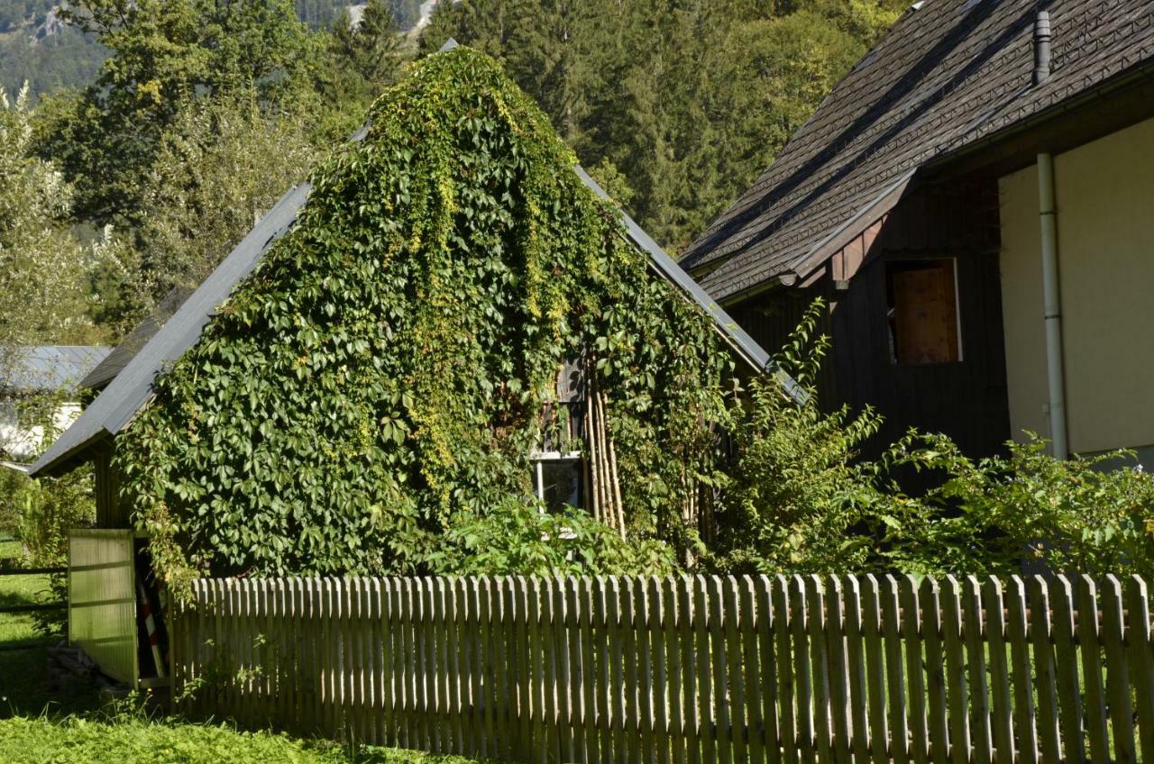 Haus Rosina Villa Адмонт Екстериор снимка