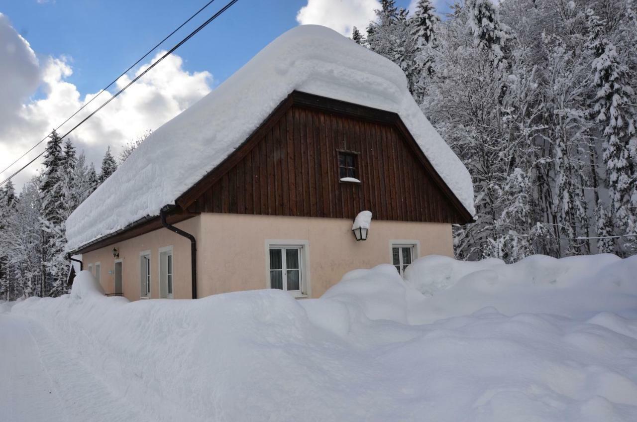 Haus Rosina Villa Адмонт Екстериор снимка
